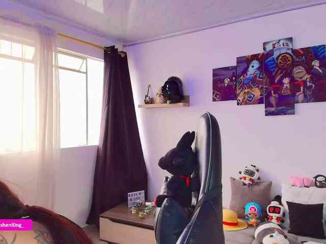 Nicorobin webcam