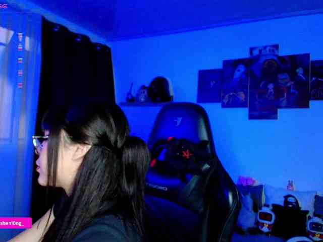 Nicorobin webcam