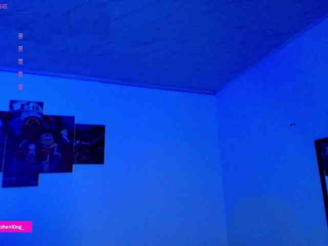 Nicorobin webcam