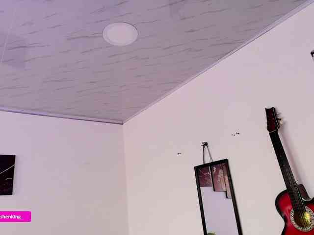 Nicorobin webcam