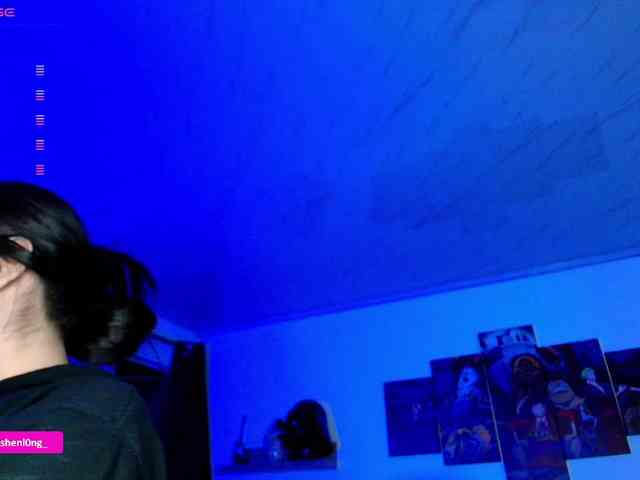 Nicorobin webcam