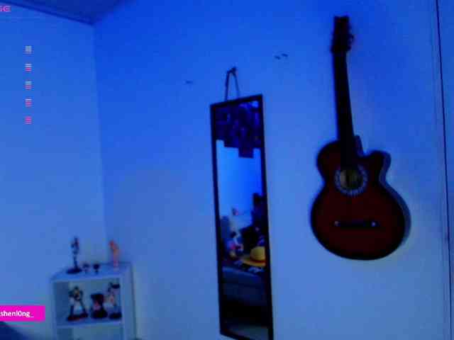 Nicorobin webcam