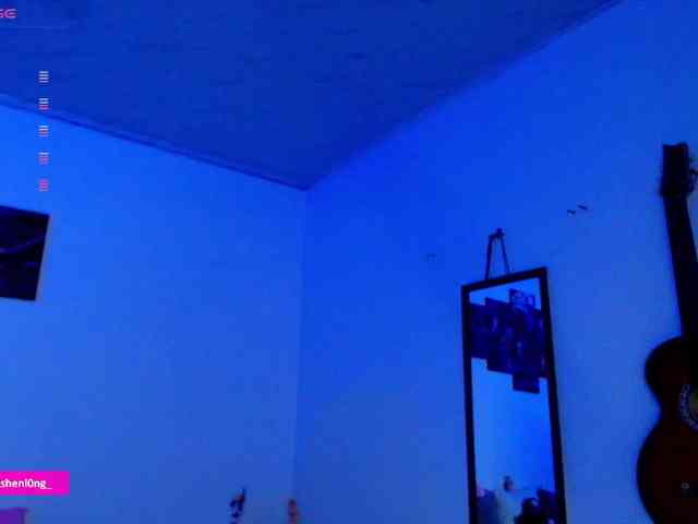 Nicorobin webcam