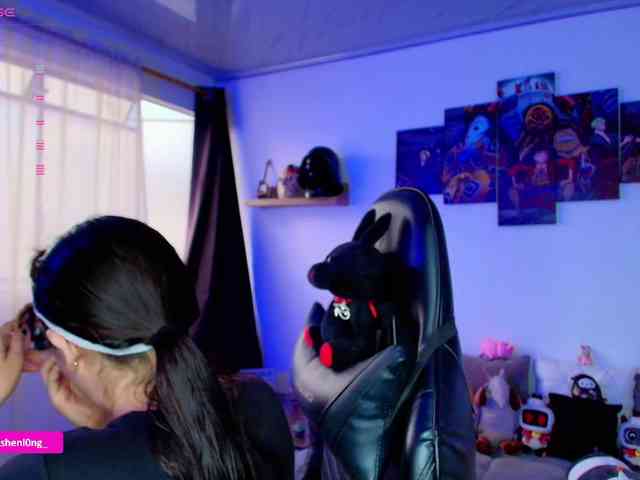 Nicorobin webcam