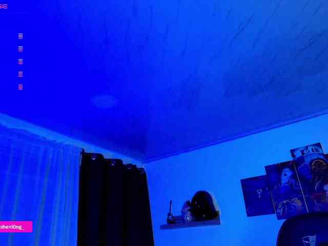 Nicorobin webcam