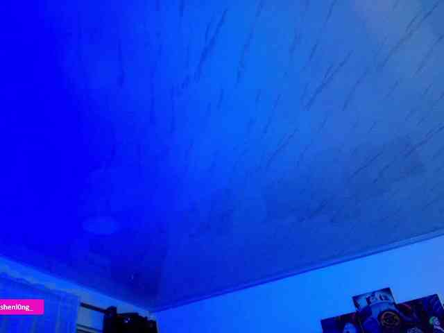 Nicorobin webcam