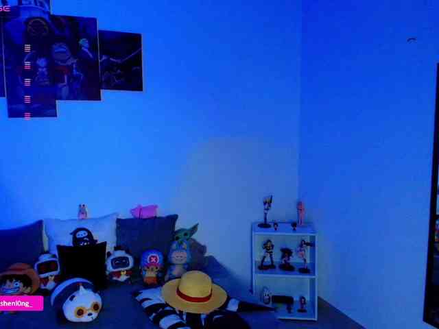 Nicorobin webcam