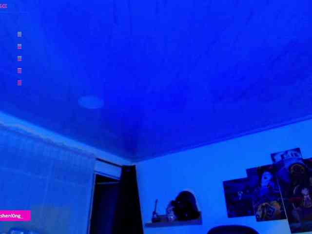 Nicorobin webcam