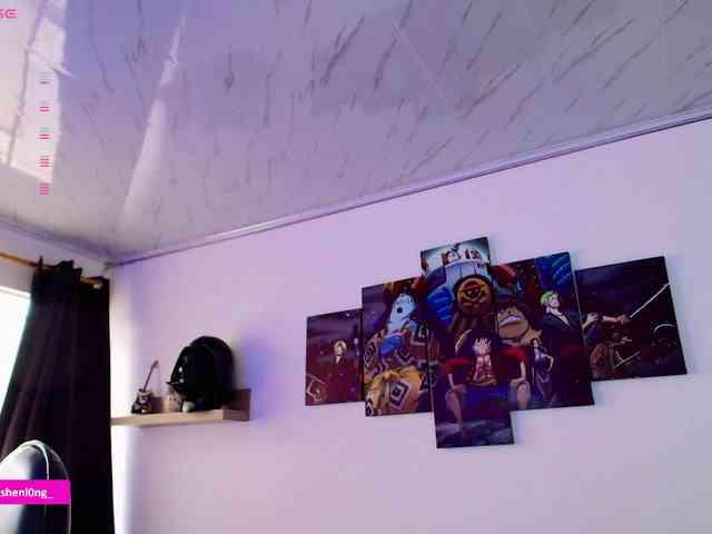Nicorobin webcam