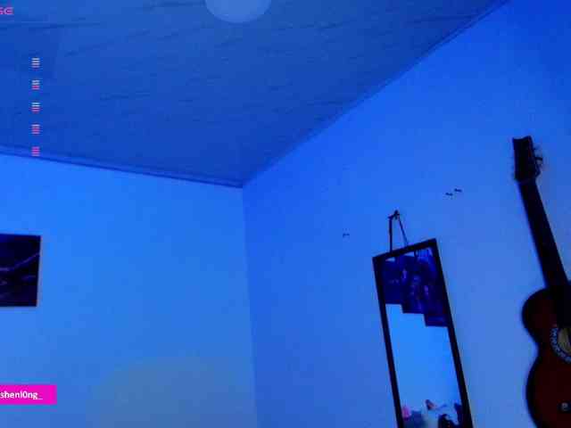 Nicorobin webcam