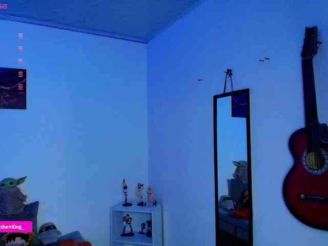 Nicorobin webcam