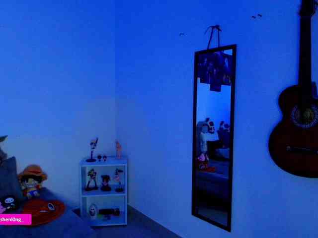 Nicorobin webcam