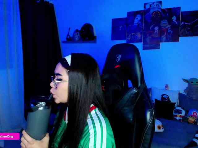 Nicorobin webcam