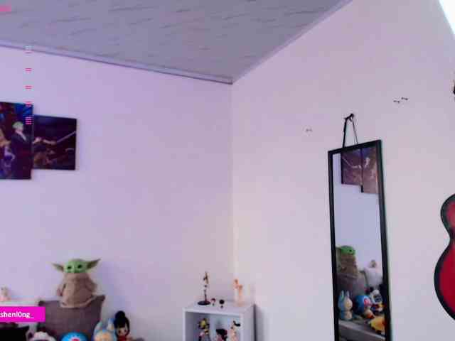 Nicorobin webcam