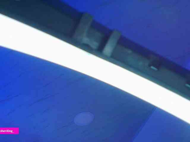 Nicorobin webcam