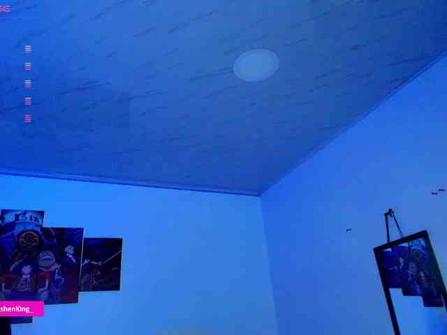 Nicorobin webcam