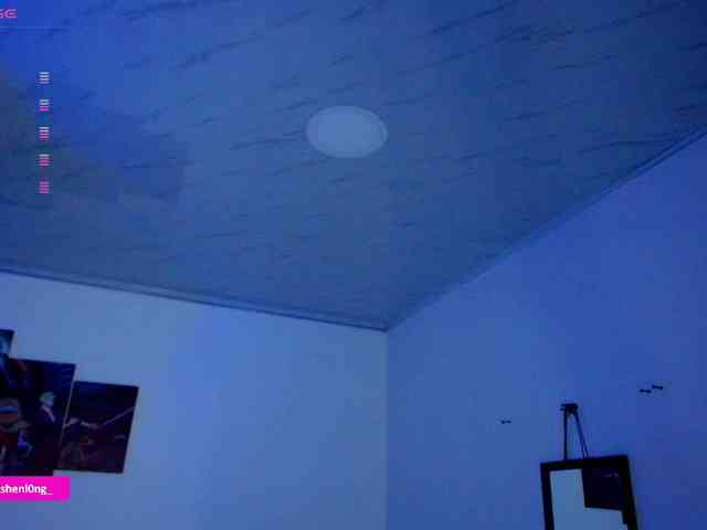 Nicorobin webcam