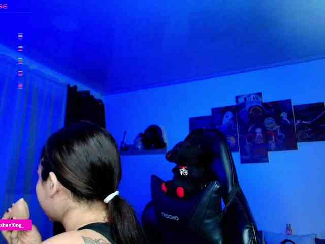 Nicorobin webcam