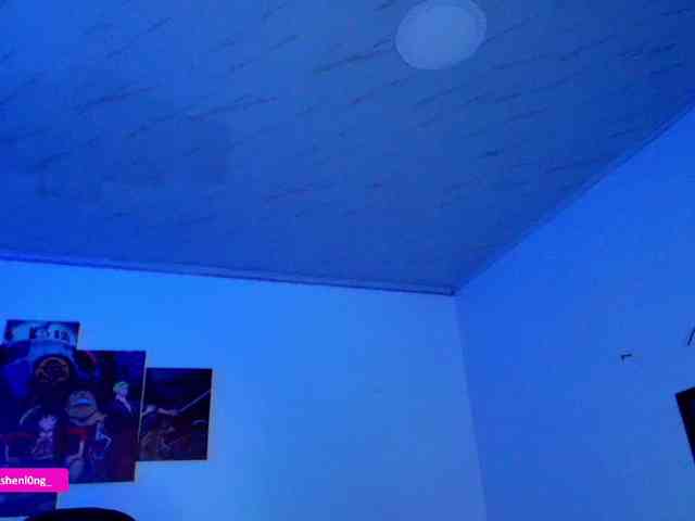 Nicorobin webcam