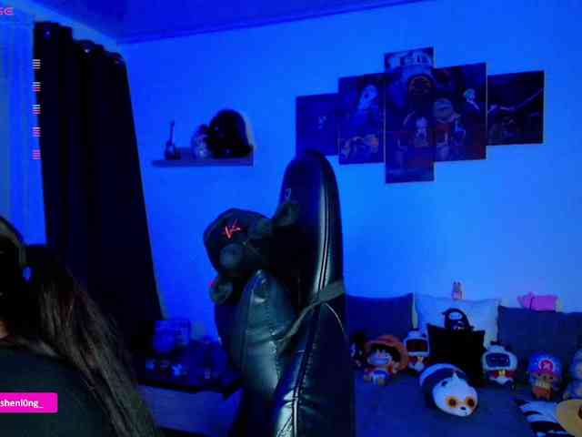 Nicorobin webcam