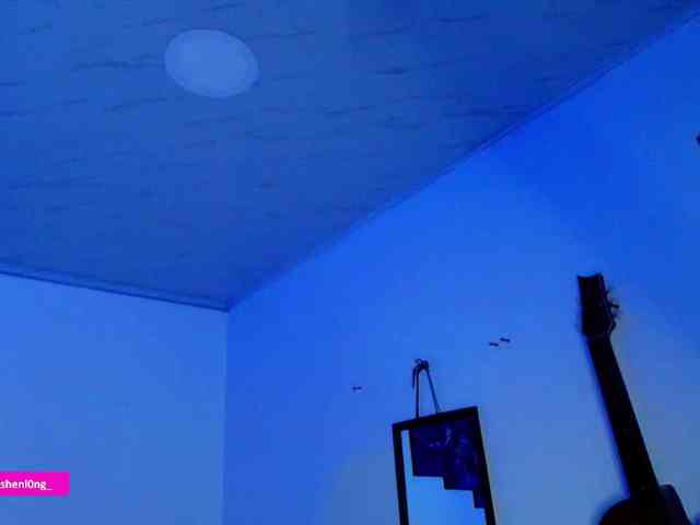 Nicorobin webcam