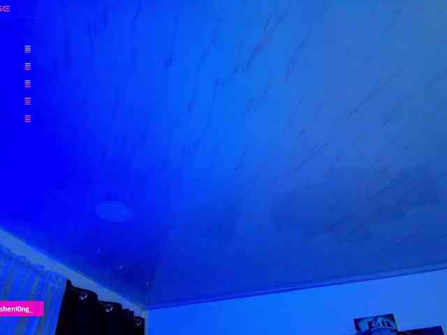 Nicorobin webcam