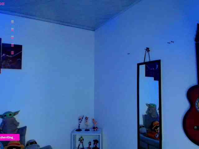 Nicorobin webcam