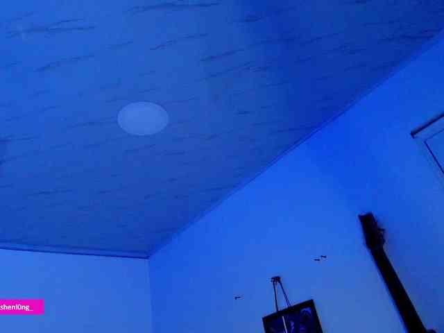 Nicorobin webcam