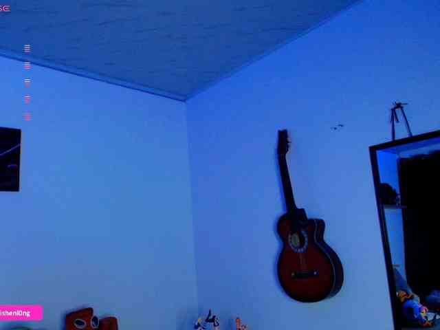 Nicorobin webcam