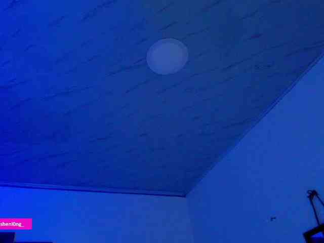 Nicorobin webcam