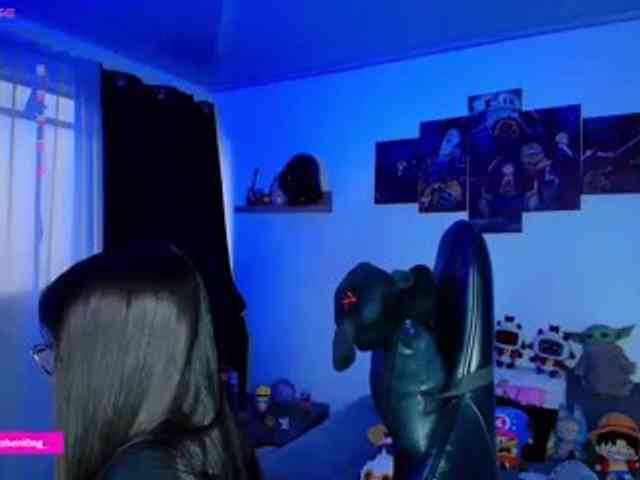Nicorobin webcam