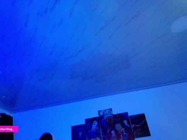 Nicorobin webcam
