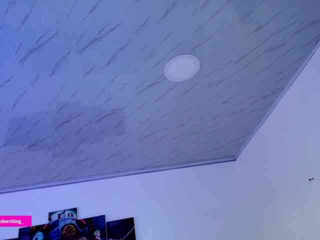 Nicorobin webcam