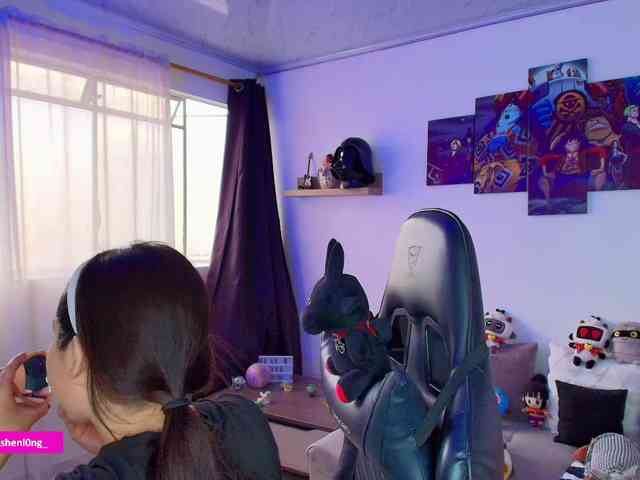 Nicorobin webcam