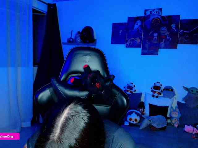 Nicorobin webcam