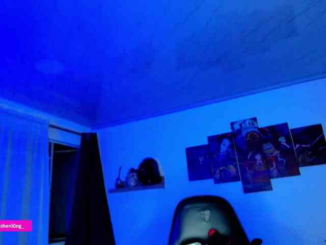 Nicorobin webcam