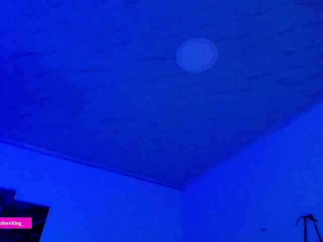 Nicorobin webcam
