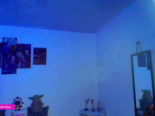 Nicorobin webcam