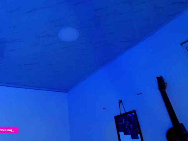 Nicorobin webcam
