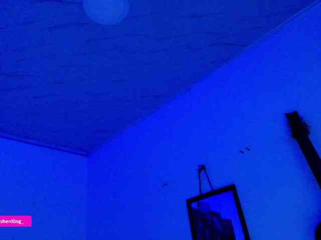 Nicorobin webcam