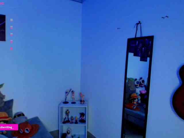 Nicorobin webcam