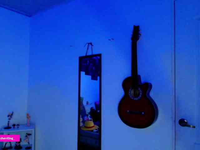 Nicorobin webcam