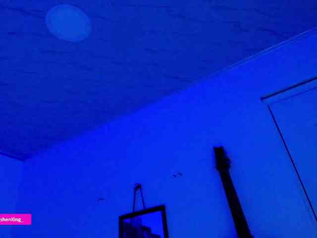 Nicorobin webcam
