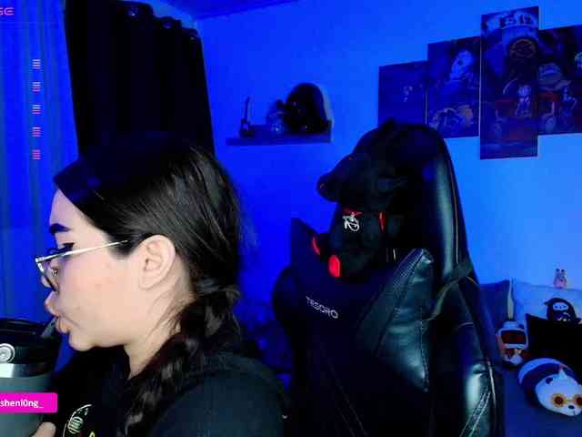 Nicorobin webcam