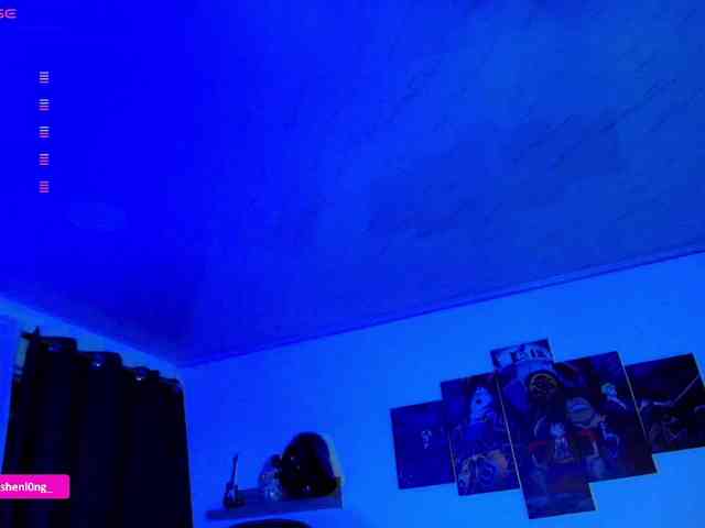Nicorobin webcam