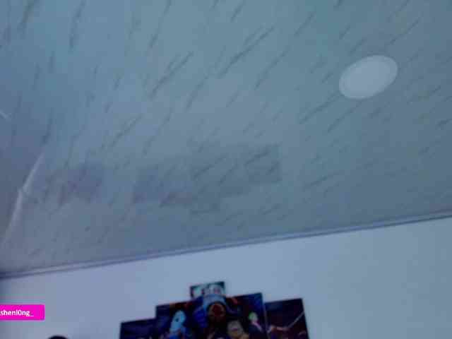 Nicorobin webcam