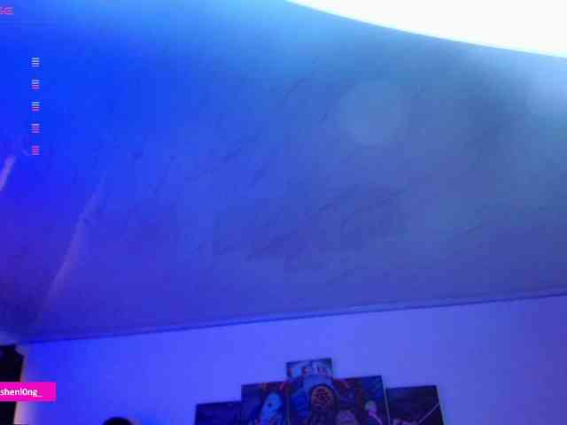 Nicorobin webcam