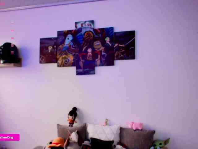 Nicorobin webcam
