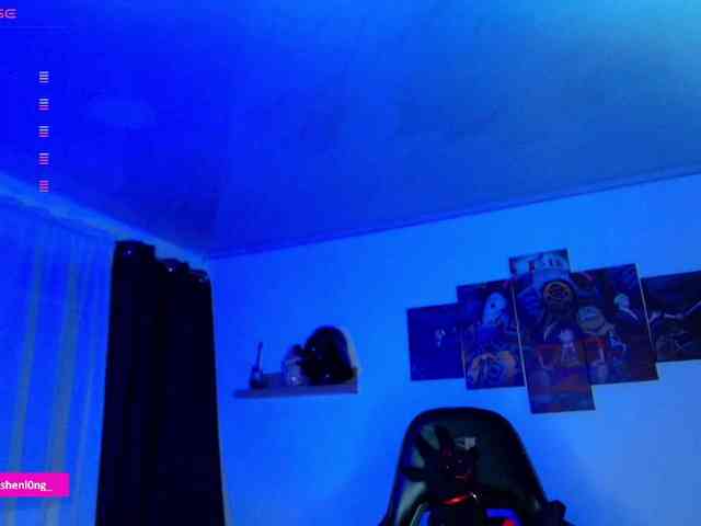 Nicorobin webcam