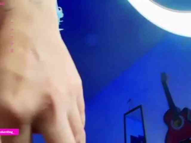 Nicorobin webcam